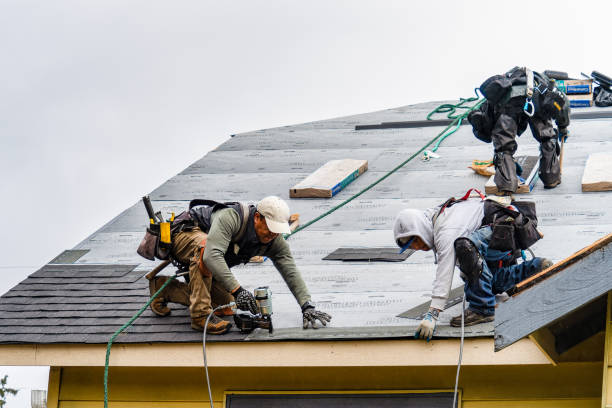 Professional Storm Damage Roof Repair technician working in Dunnsville, VA